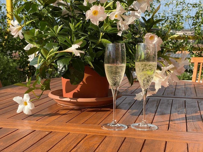 Prosecco Hills Private Tour All inclusive. 2 wineries+lunch - Starting from Venice, Treviso, or Conegliano