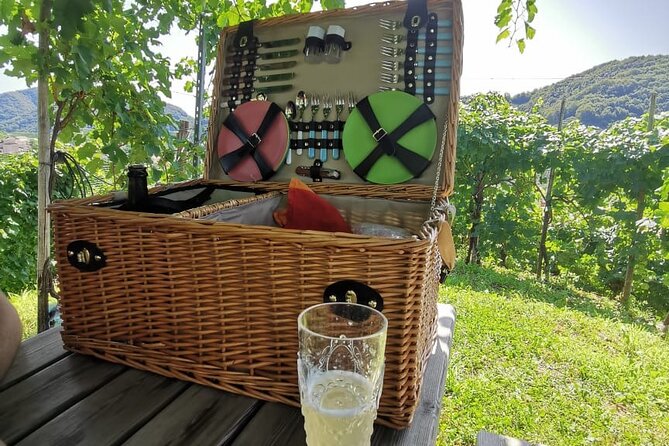 Prosecco Hills Wine and Cheese Gourmet Discovery - Conegliano winery: four sparkling wines with local food