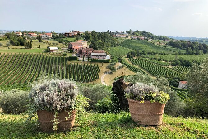 Prosecco Hills Wine and Cheese Gourmet Discovery - Who will enjoy this experience most?