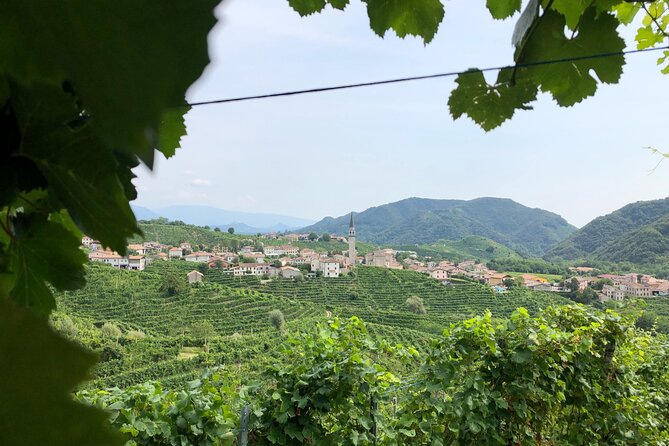 Prosecco Hills Wine and Cheese Gourmet Discovery - Is $165.61 a fair price?