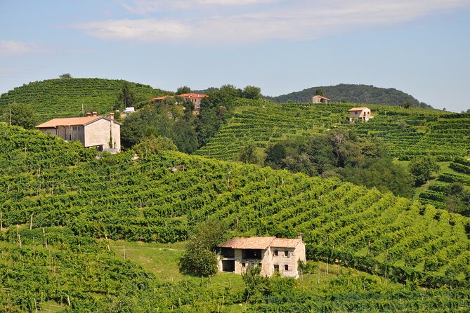 Prosecco’s Roots & the Karst Region from Trieste - Should you book Prosecco’s Roots and the Karst Region?