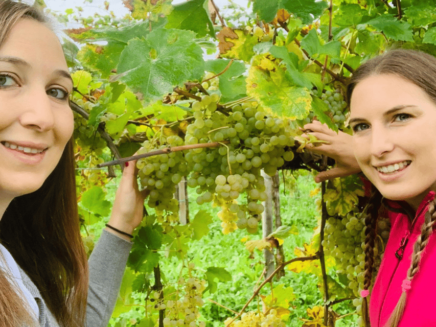 Prosecco Tasting in Countryside Winery - A Prosecco tasting with the vines in view