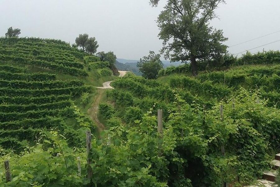 Prosecco Wine Tour. Full Day - 2 Wineries. From Venice - Why the four-style tasting matters