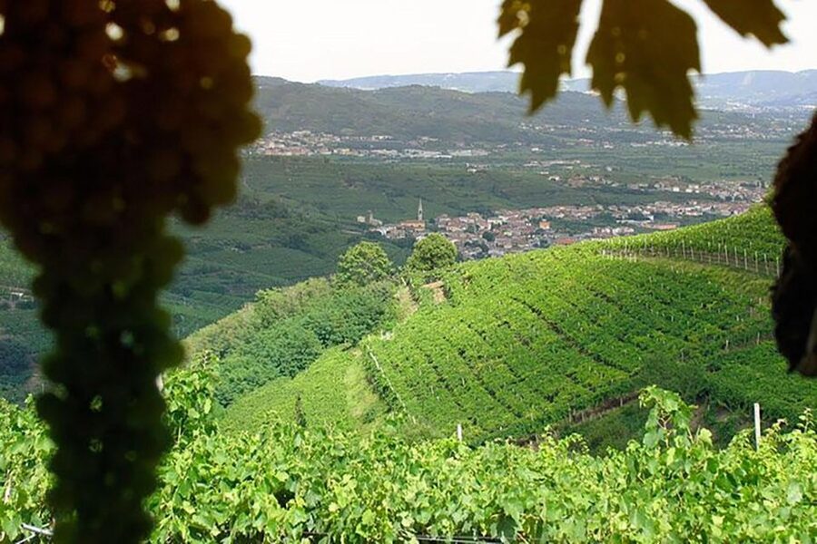 Prosecco Wine Tour. Full Day - 2 Wineries. From Venice - Who should choose this Prosecco tour