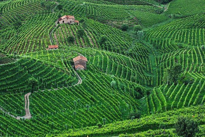 Prosecco Wine Tour. Full day from Venice - Veneto dishes, snacks, and the midday meal