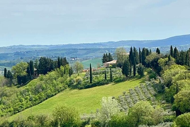 Prosecco Wine Tour. Full day from Venice - Who will enjoy this day most