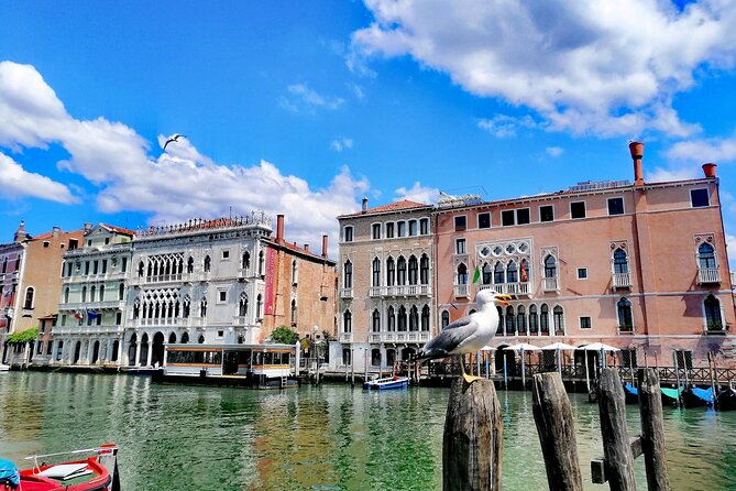 Rialto Market & Seafood Cooking Class in Murano - Timing, Meeting Point, and Cancellation