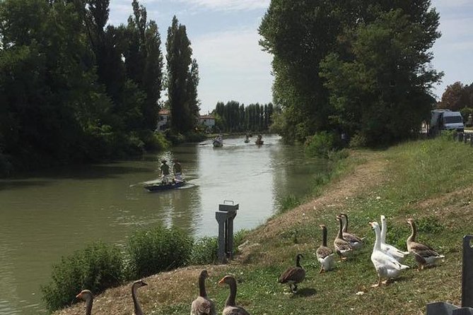 Riviera del Brenta Bike Tour - What the $83.08 Price Buys You
