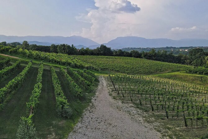 Romantic Evening Tasting with the Best Prosecco - Views, conversation, and a slower evening