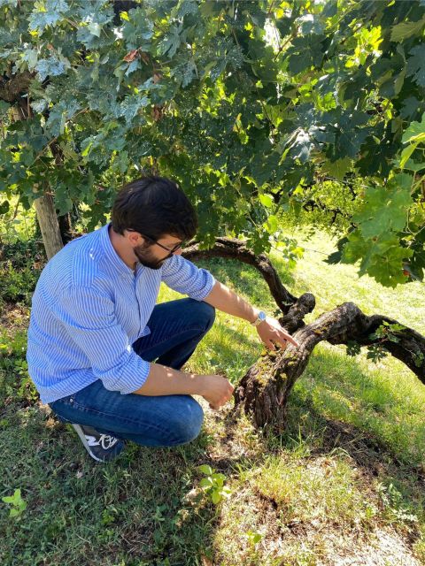 San Pietro di Feletto: Vineyard Tour with Cellar Visit - Prosecco Superiore DOCG, Pinot Grigio, and local food
