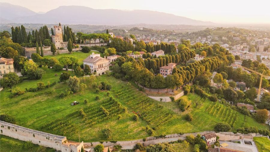 San Pietro di Feletto: Vineyard Tour with Cellar Visit - What the $70 price gets you