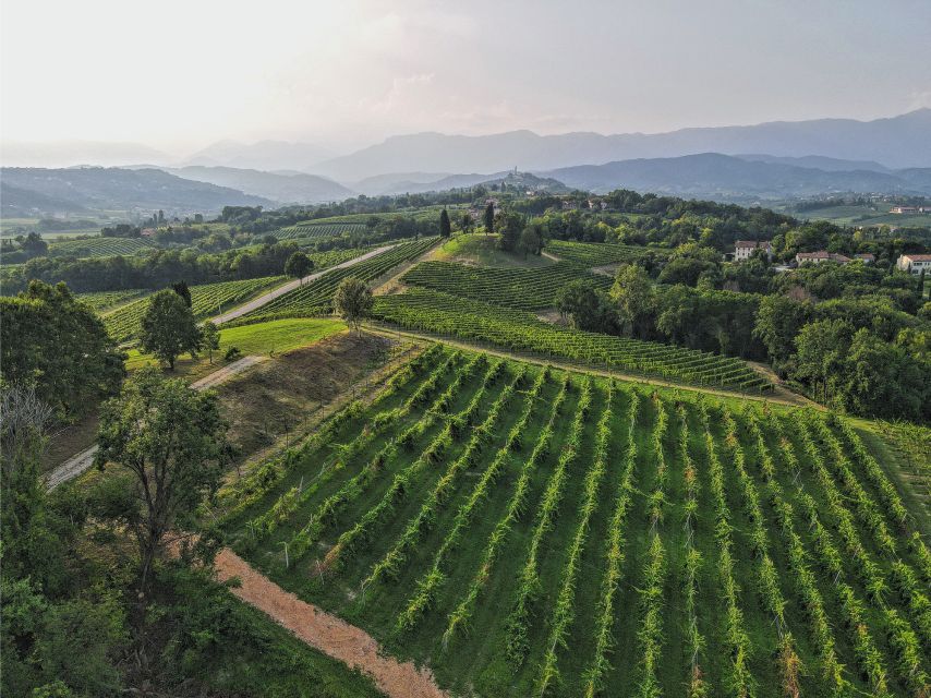 San Pietro di Feletto: Vineyard Tour with Cellar Visit - FAQ