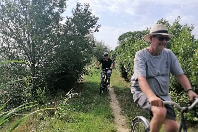 Sant’Erasmo Bike Tour in Venice’s Green Island - Sant’Erasmo’s northern shore and distant islands