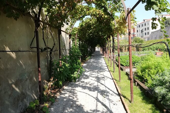 Secret Gardens of Venice Walking Tour - Giardini Savorgnan and the memory of noble houses