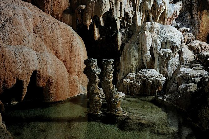 Skocjanske Caves Unesco Site - Private Tour from Trieste - The return transfer and port timing