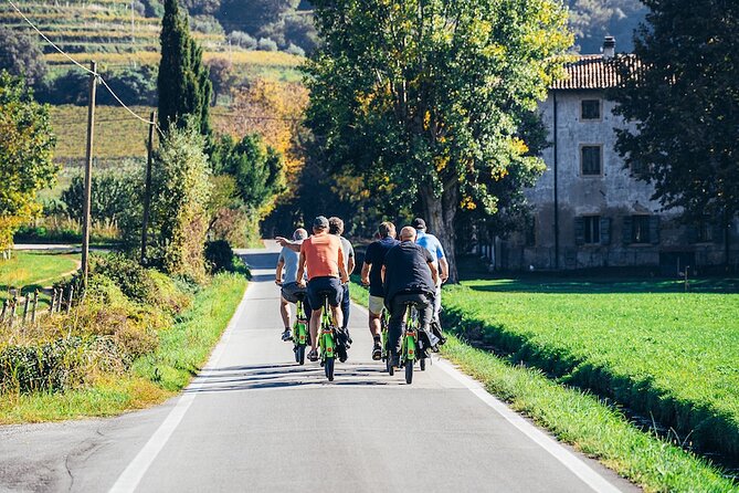 Small-group Amarone Wine e-Bike Tour from Verona - Vineyard roads, olive trees, and the best views