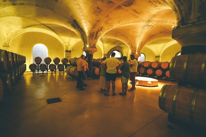Small-group Amarone Wine e-Bike Tour from Verona - The winery visit and Valpolicella tasting