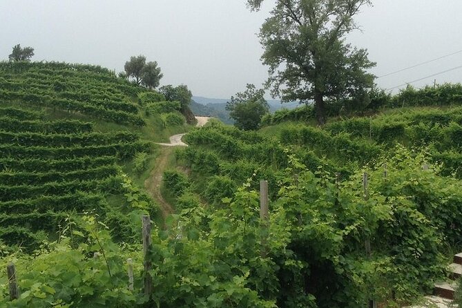 Small Group Prosecco Experience from Venice - Boutique Winery - Leaving Venice for the Prosecco hills
