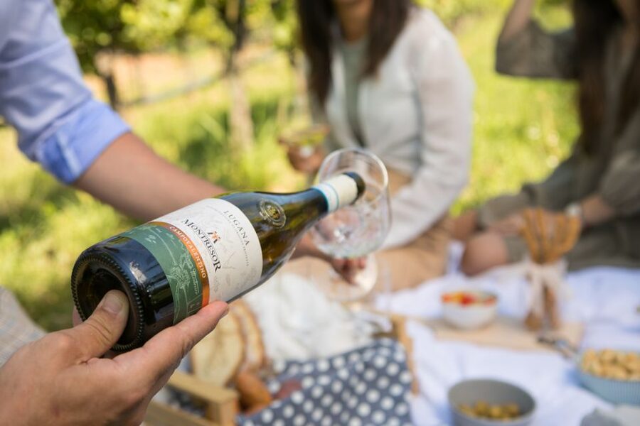 Taste with us Bardolino, Chiaretto and Lugana near Verona - Key points to know before you book