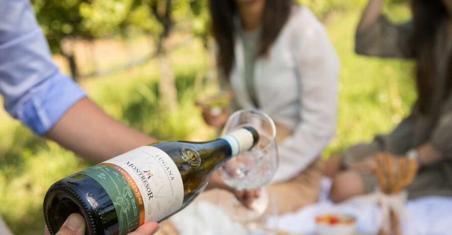 Taste with us Bardolino, Chiaretto and Lugana near Verona - Underground cellars and the work behind the bottle