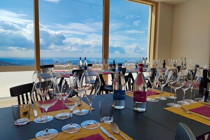 Tasting of Organic Mountain Wines with Vineyard and Cellar Tour - Local cheeses, cold cuts, and homemade giardiniera