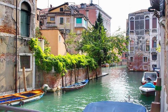 Tasty Street Food Tour of Venice City Center with Cicchetti & Local Specialties - How much food do you actually get?