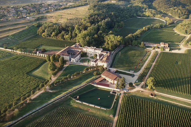 The Amarone Chateau guided tour and tasting in Valpolicella - The tasting: several family wines with a guided explanation