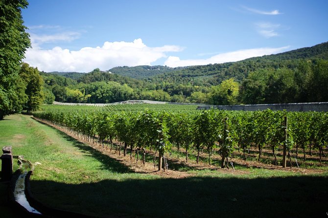 The Amarone Chateau guided tour and tasting in Valpolicella - The historic Amarone cellars and production rooms