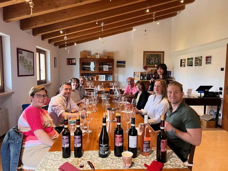 The grand tour of Amarone: 2 wineries with delicious lunch - From Piazza Bra to the Amarone hills