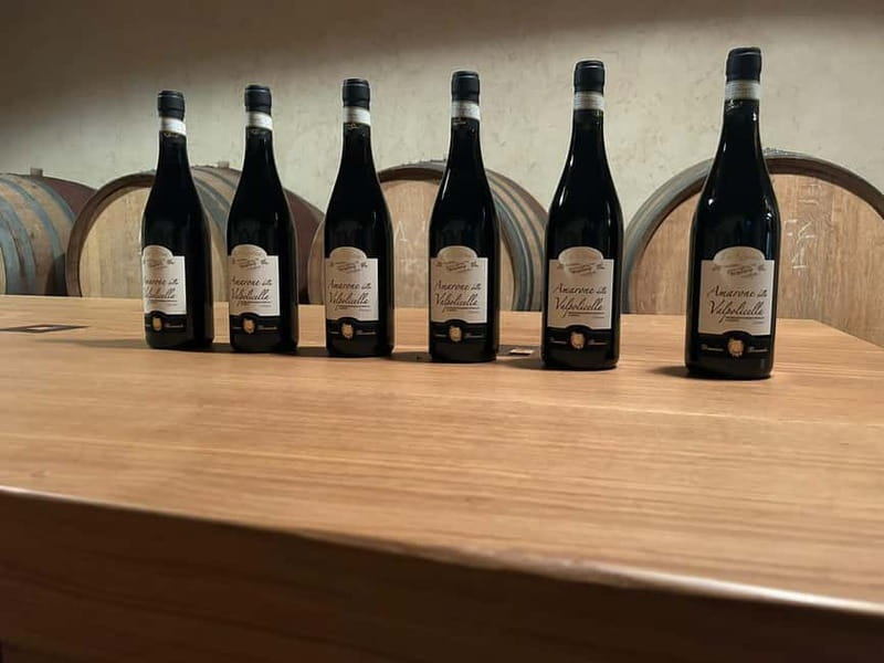 The grand tour of Amarone: 2 wineries with delicious lunch - First winery: production, tastings, and local snacks