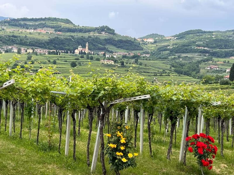 The grand tour of Amarone: 2 wineries with delicious lunch - What makes the producer contact worthwhile