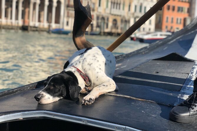 The Secrets of Venice - Private Tour - Crossing the Rialto Bridge