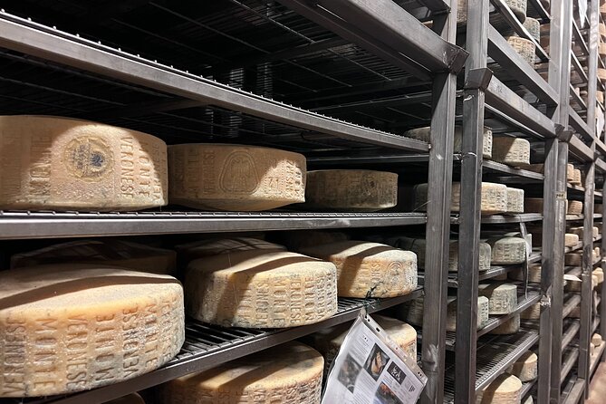 The Valpolicella food & wine driving tour: cheese factory+ winery - Leaving Verona for the Amarone hills