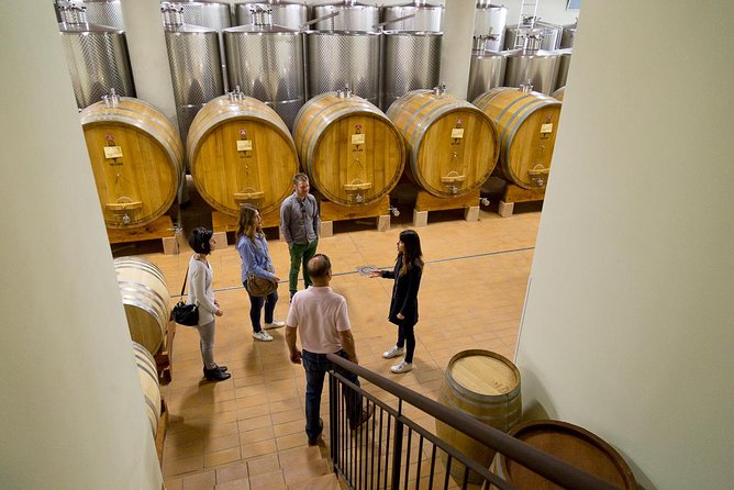 The Valpolicella food & wine driving tour: cheese factory+ winery - Who should book this Valpolicella outing?
