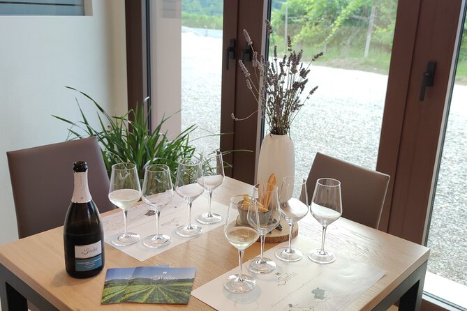Tour and tasting in the hills of Prosecco Superiore DOCG - Key points at a glance