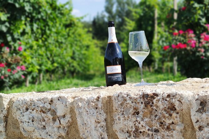 Tour and tasting in the hills of Prosecco Superiore DOCG - Why this Prosecco visit feels personal