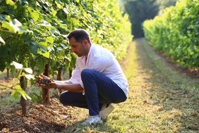 Tour and tasting in the hills of Prosecco Superiore DOCG - Getting there and planning your visit