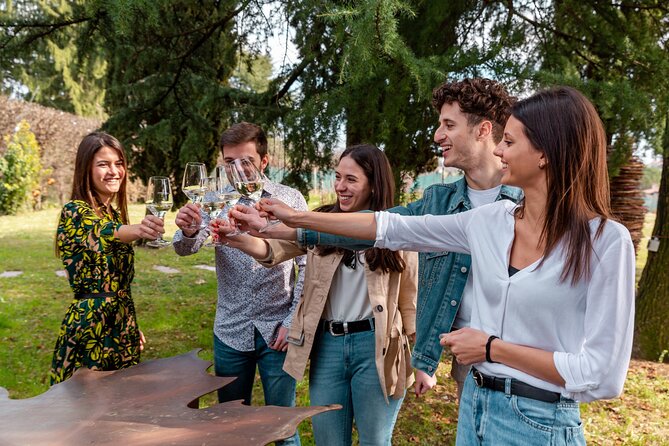 Tour Art and Nature - The tasting: Prosecco with cheese and breadsticks