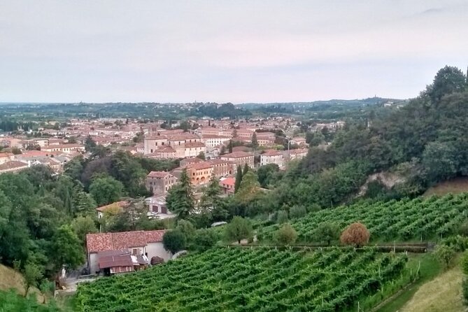 Tour in the Prosecco Hills Tour from Padua - What the price includes at $192.47