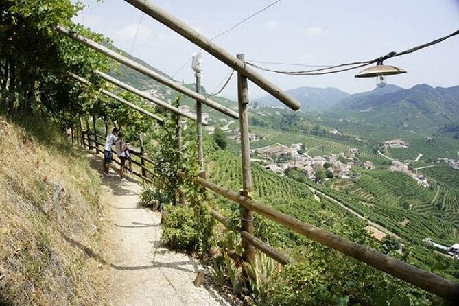 Tour in the Prosecco Hills Tour from Padua - Timing, pickup, and cancellation details