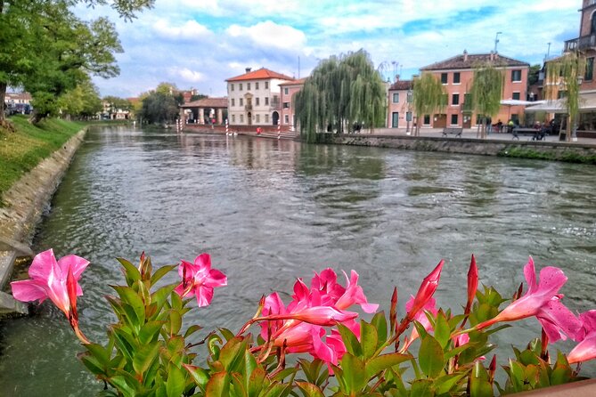Tour to the Venetian Villas and the Brenta Riviera from Padua - Villa Widmann and its park, a more personal second stop