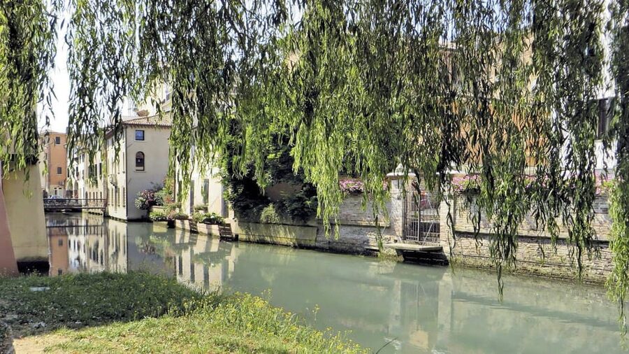 Treviso Small-Group Walking Tour: Top Sights & Hidden Gems - Starting at Ponte dell’Università