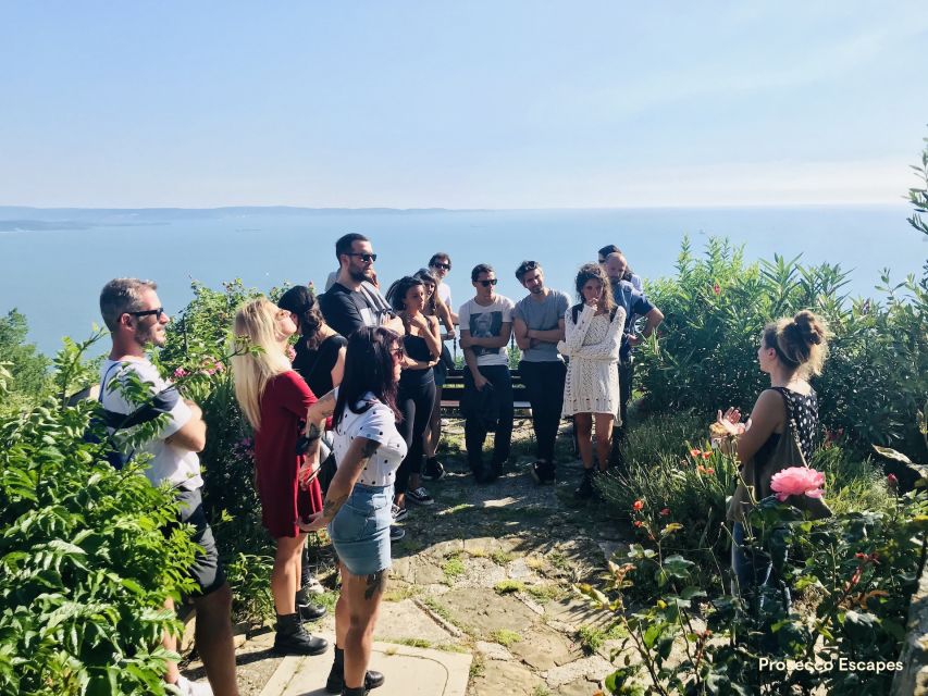 Trieste: 2.5-Hour Prosecco Origins Tour and Tastings - Why Prosecco began above Trieste