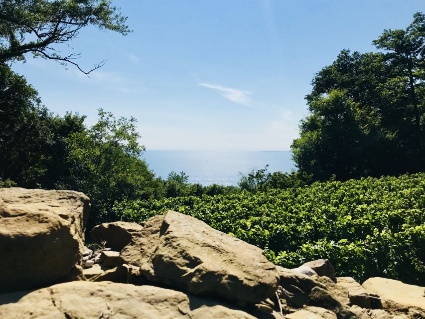 Trieste: 2.5-Hour Prosecco Origins Tour and Tastings - Walking through the old village of Contovello