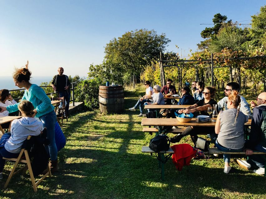 Trieste: 2.5-Hour Prosecco Origins Tour and Tastings - The ancient terraces above the Gulf of Trieste