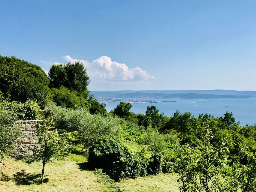 Trieste: 2.5-Hour Prosecco Origins Tour and Tastings - Tasting handmade sparkling wines