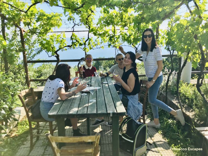 Trieste: 2.5-Hour Prosecco Origins Tour and Tastings - Cheese, cured meats, and a generous local spread