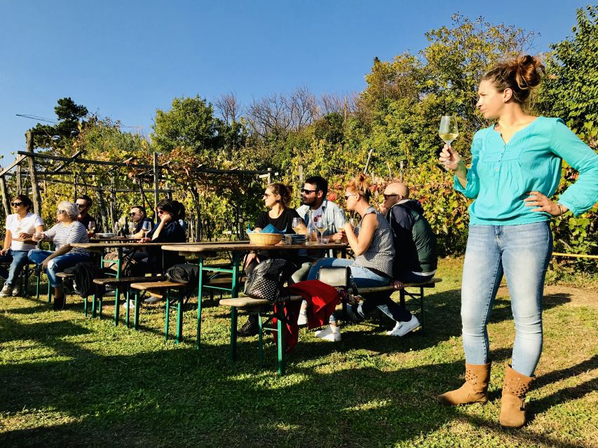 Trieste: 2.5-Hour Prosecco Origins Tour and Tastings - A tour shaped by the weather