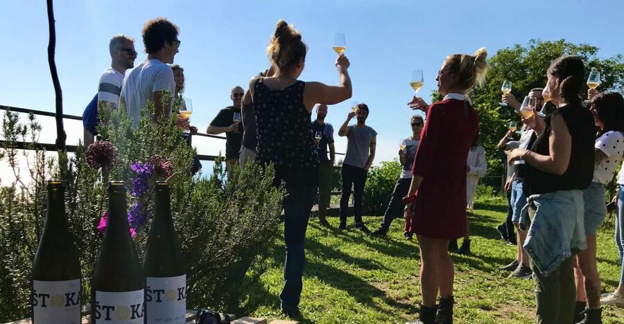 Trieste: 2.5-Hour Prosecco Origins Tour and Tastings - Meeting Katrin in Contovello