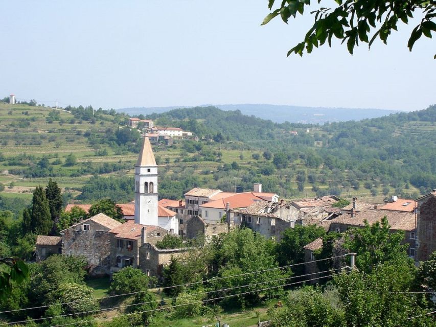 Trieste: Flavors of Istria Tour to Hum, Grožnjan, & Motovun - Grožnjan, where food meets art and music